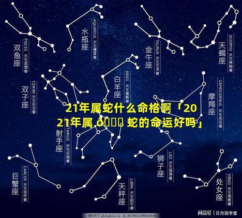 21年属蛇什么命格啊「2021年属 🐈 蛇的命运好吗」